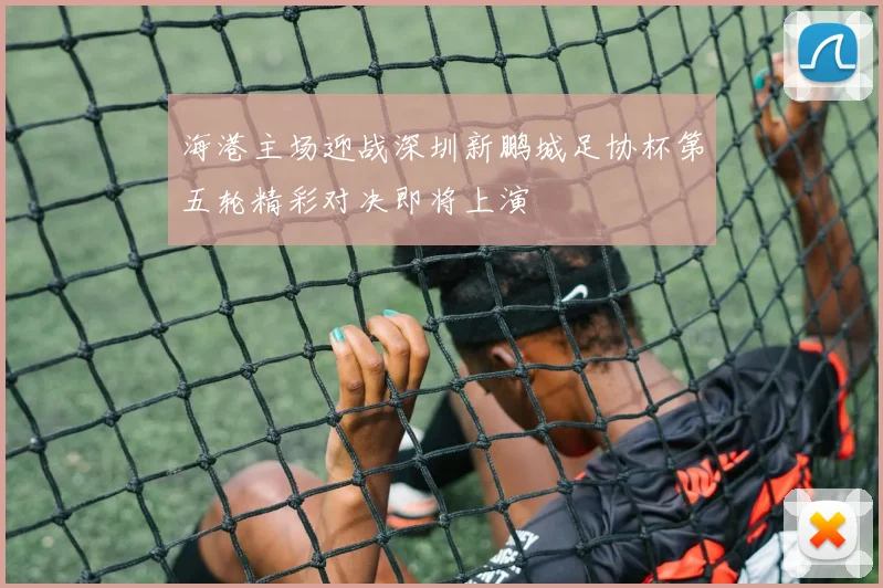 海港主场迎战深圳新鹏城足协杯第五轮精彩对决即将上演