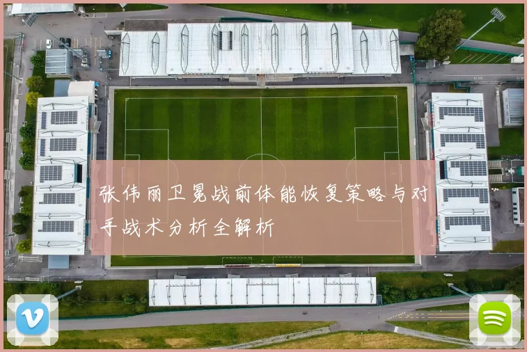 张伟丽卫冕战前体能恢复策略与对手战术分析全解析