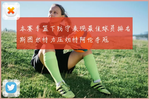 本赛季篮下防守表现最佳球员排名斯图尔特力压切特阿伦夺冠