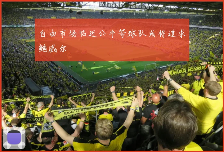自由市场临近公牛等球队或将追求鲍威尔